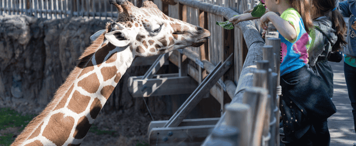 students gathered at a field trip at the zoo
